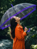 Clear Dome Rain Umbrella - Windresistant & Waterproof Transparent Umbrella with Purple Trim